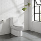 Avancer One-Piece Toilet with Cascade Smart Seat 0.95/1.26 gpf