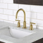 60 In. Double Sink Marble Countertop Vanity, Oak with Faucets and Mirrors, Chestnut  collection